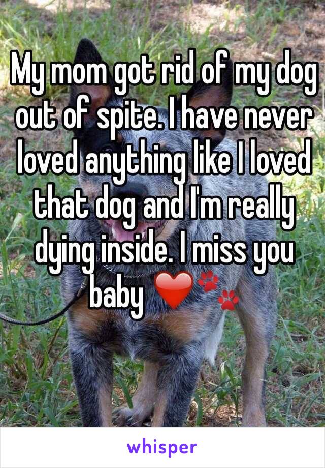 My mom got rid of my dog out of spite. I have never loved anything like I loved that dog and I'm really dying inside. I miss you baby ❤️🐾