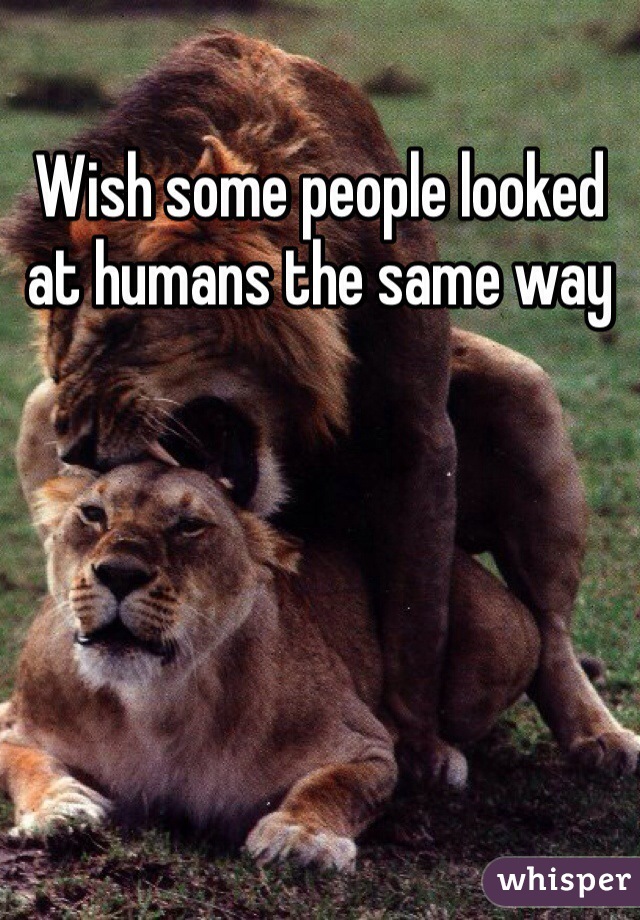 Wish some people looked at humans the same way