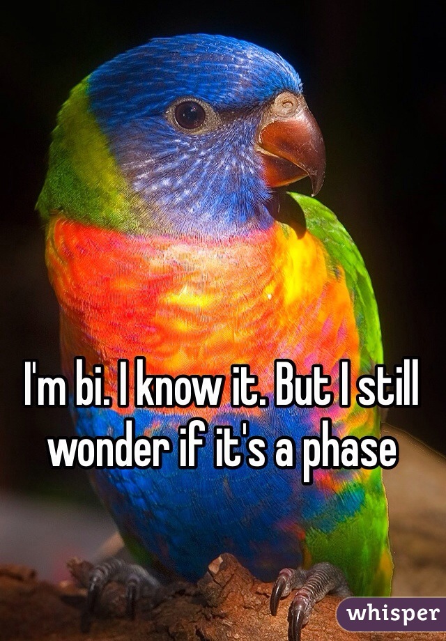 I'm bi. I know it. But I still wonder if it's a phase