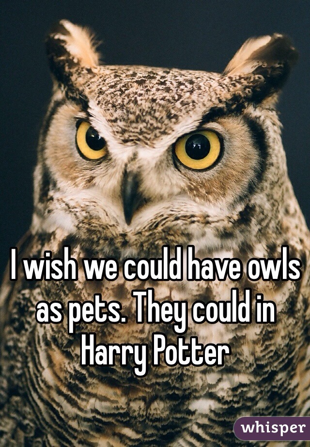 I wish we could have owls as pets. They could in Harry Potter