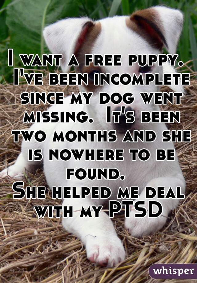I want a free puppy.  I've been incomplete since my dog went missing.  It's been two months and she is nowhere to be found.  

She helped me deal with my PTSD 