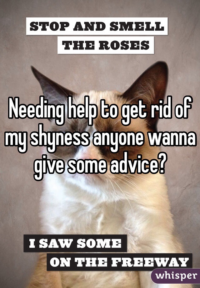 Needing help to get rid of my shyness anyone wanna give some advice?