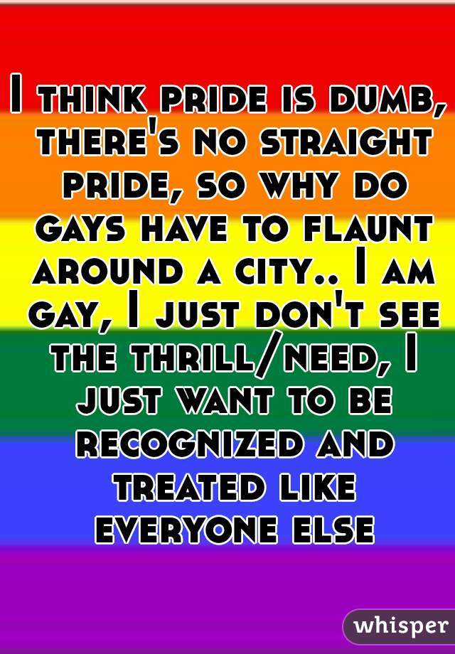 I think pride is dumb, there's no straight pride, so why do gays have to flaunt around a city.. I am gay, I just don't see the thrill/need, I just want to be recognized and treated like everyone else