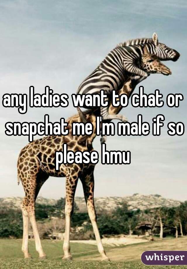 any ladies want to chat or snapchat me I'm male if so please hmu 