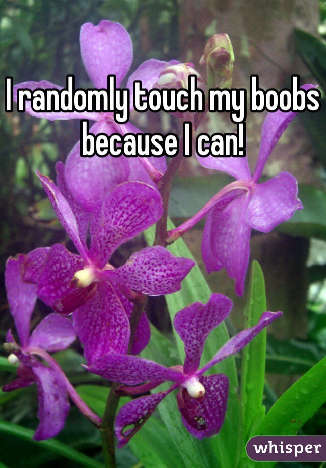 I randomly touch my boobs because I can! 