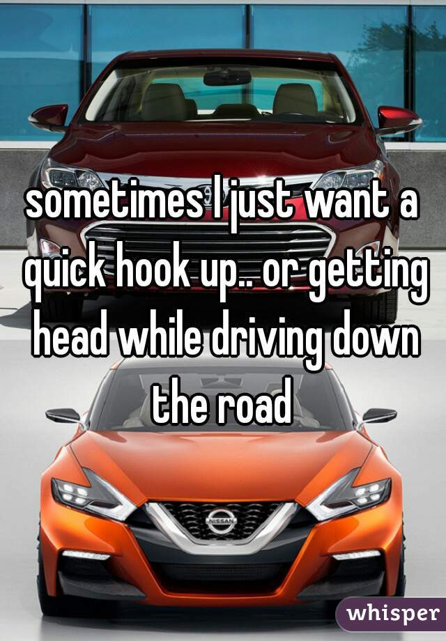 sometimes I just want a quick hook up.. or getting head while driving down the road 