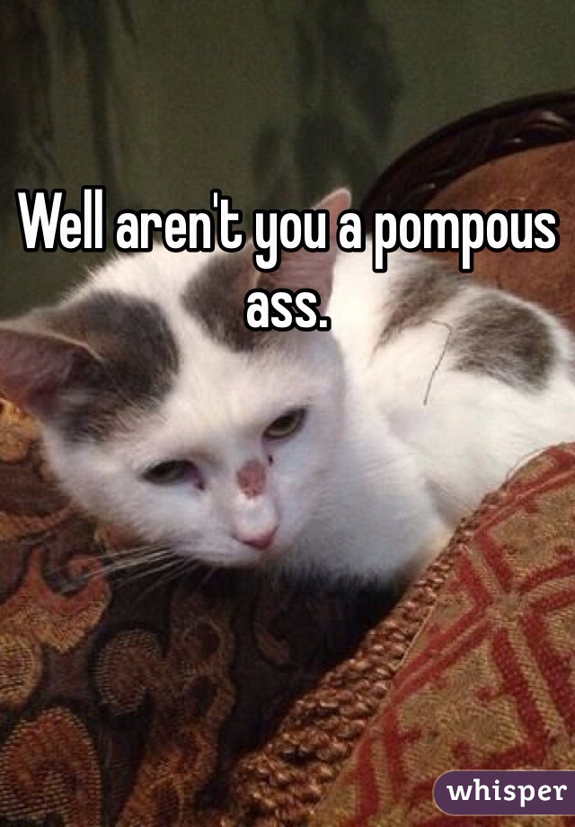 Well aren't you a pompous ass.