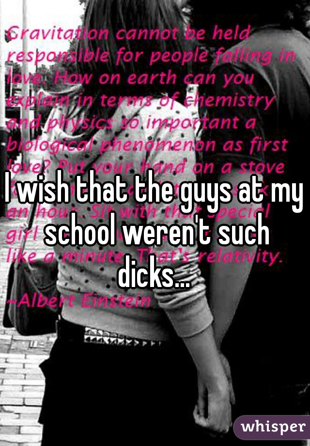 I wish that the guys at my school weren't such dicks... 