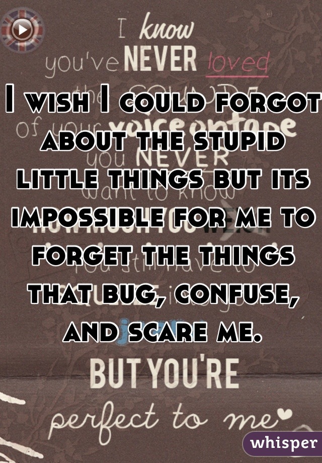 I wish I could forgot about the stupid little things but its impossible for me to forget the things that bug, confuse, and scare me.