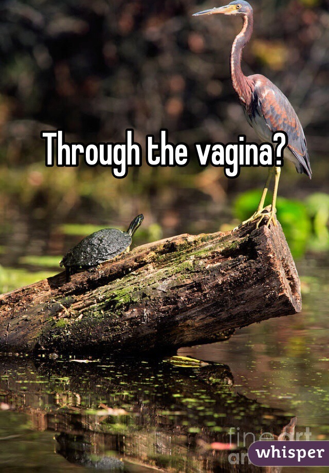 Through the vagina?