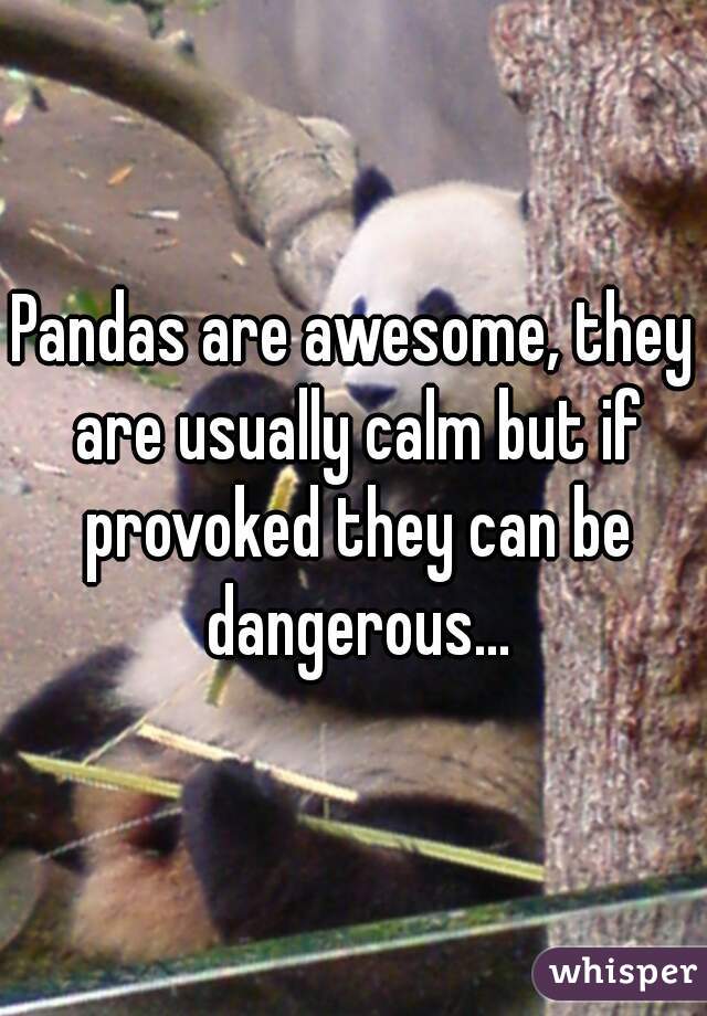 Pandas are awesome, they are usually calm but if provoked they can be dangerous...