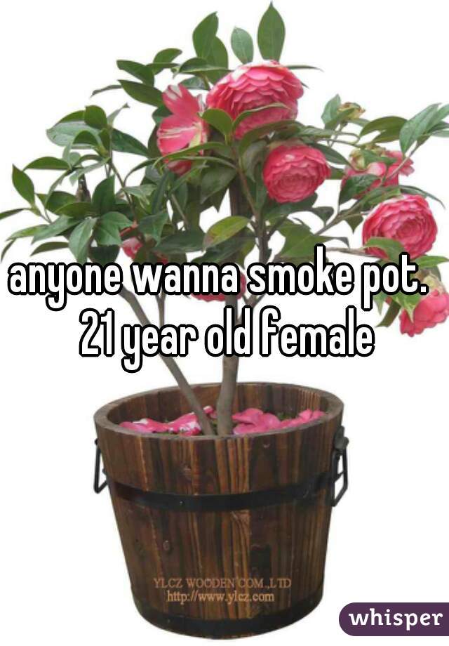 anyone wanna smoke pot.  21 year old female