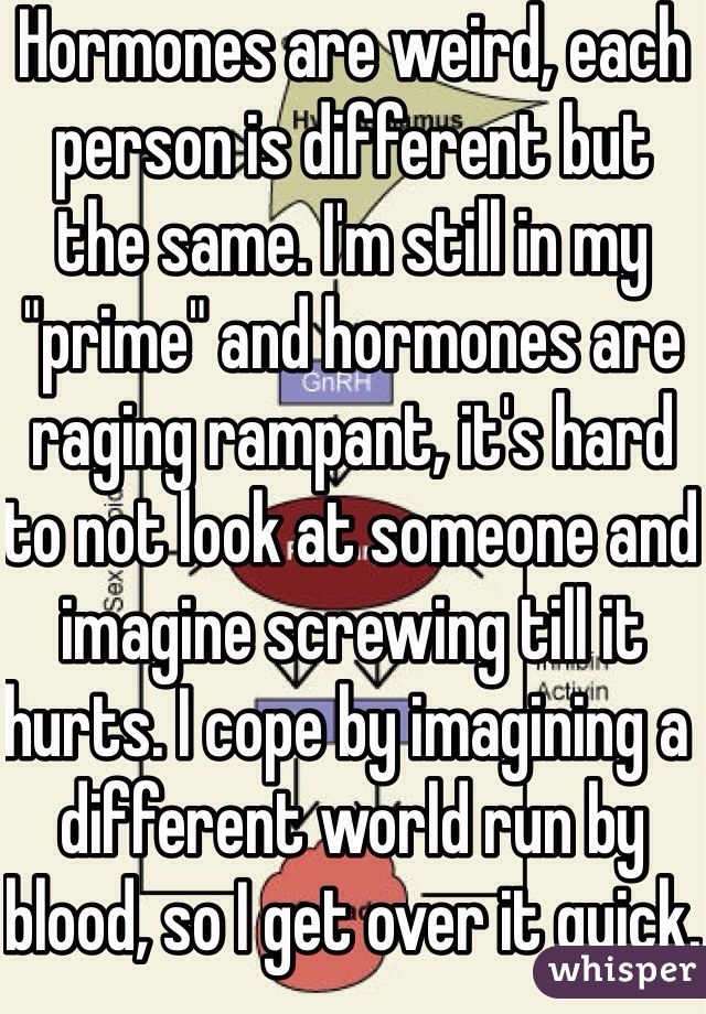 Hormones are weird, each person is different but the same. I'm still in my "prime" and hormones are raging rampant, it's hard to not look at someone and imagine screwing till it hurts. I cope by imagining a different world run by blood, so I get over it quick.