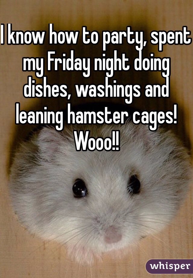 I know how to party, spent my Friday night doing dishes, washings and leaning hamster cages! Wooo!!