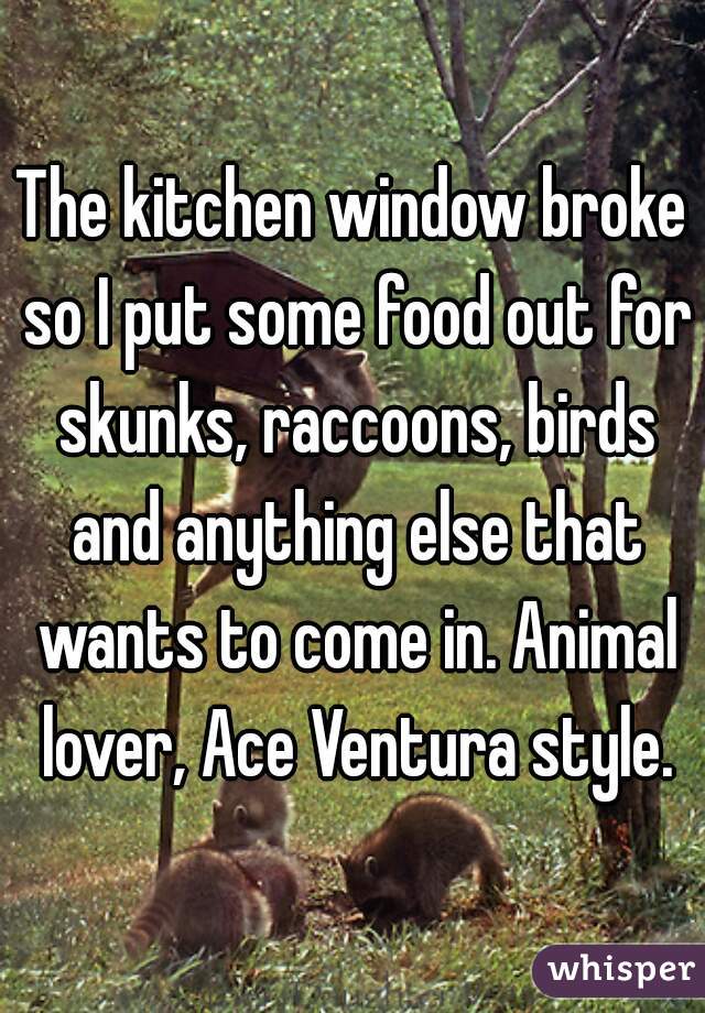 The kitchen window broke so I put some food out for skunks, raccoons, birds and anything else that wants to come in. Animal lover, Ace Ventura style.