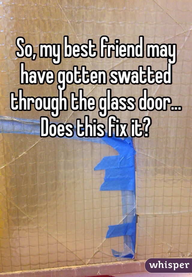So, my best friend may have gotten swatted through the glass door... Does this fix it?