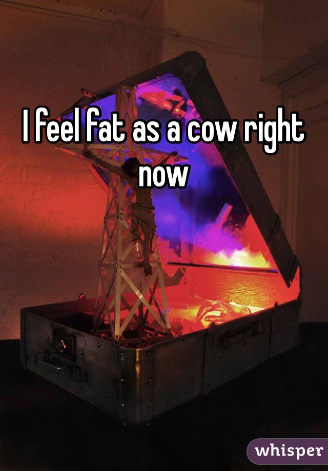 I feel fat as a cow right now 