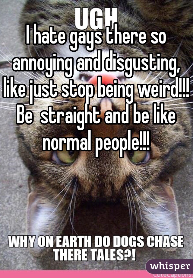 I hate gays there so annoying and disgusting, like just stop being weird!!! Be  straight and be like normal people!!!