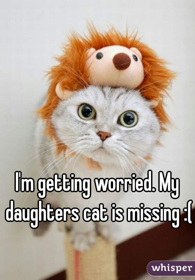 I'm getting worried. My daughters cat is missing :(