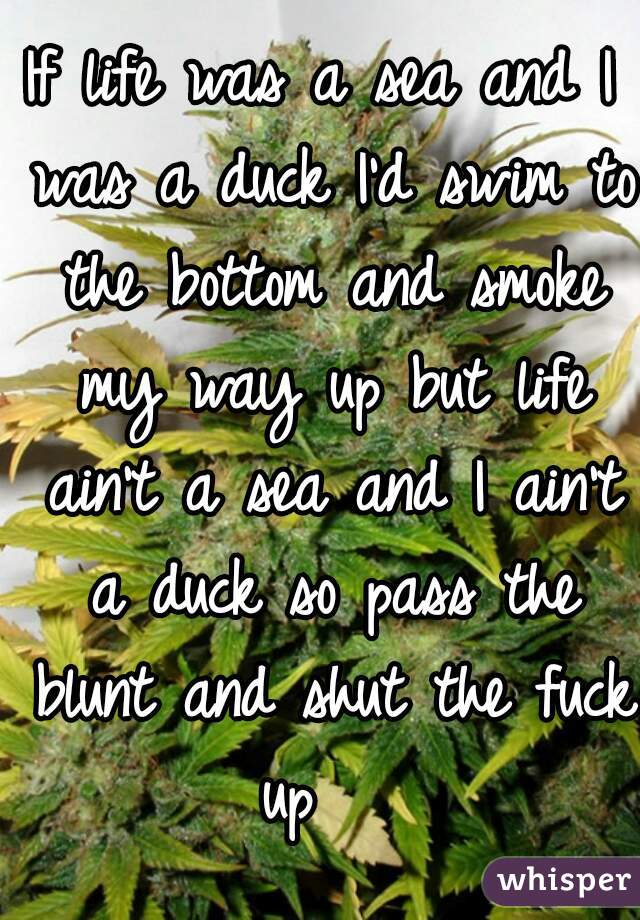 If life was a sea and I was a duck I'd swim to the bottom and smoke my way up but life ain't a sea and I ain't a duck so pass the blunt and shut the fuck up   