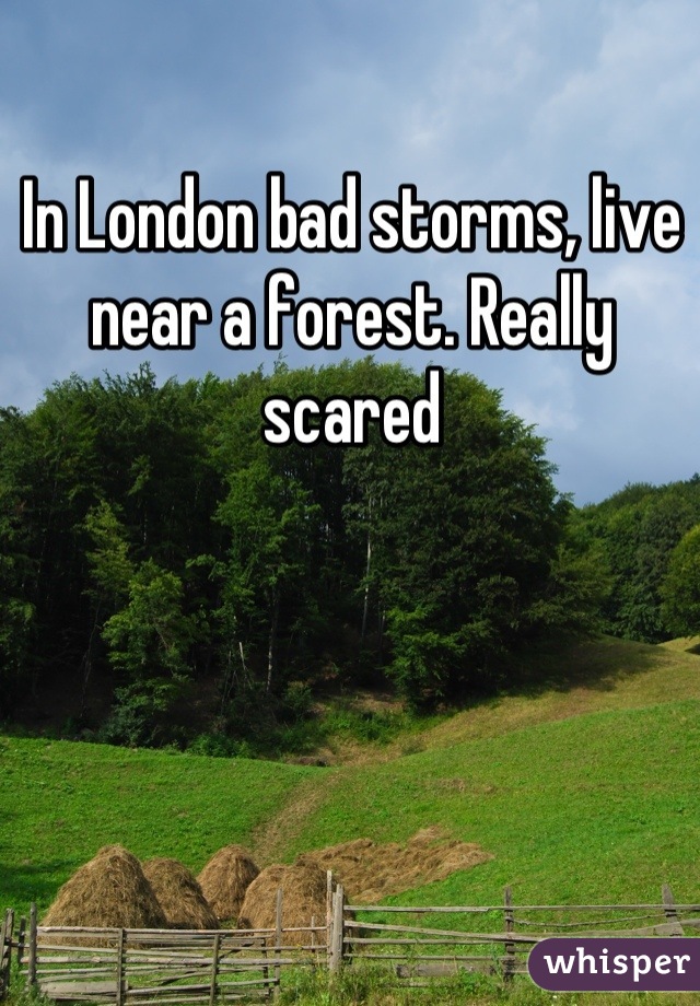 In London bad storms, live near a forest. Really scared