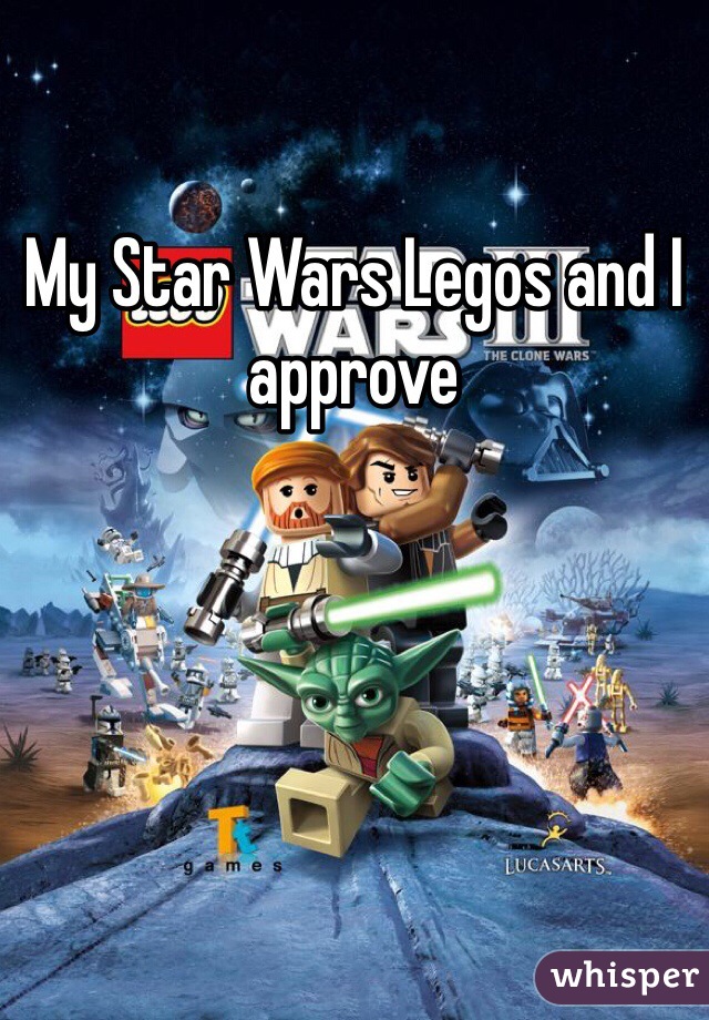 My Star Wars Legos and I approve