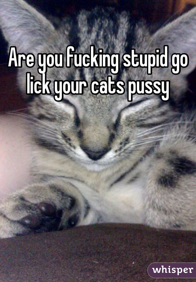 Are you fucking stupid go lick your cats pussy 