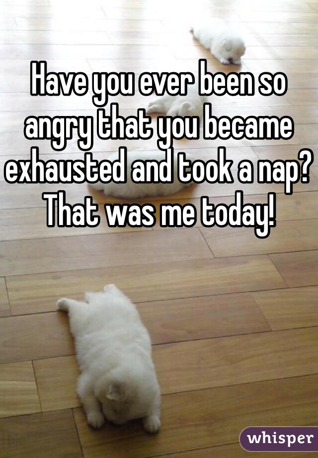 Have you ever been so angry that you became exhausted and took a nap? That was me today!