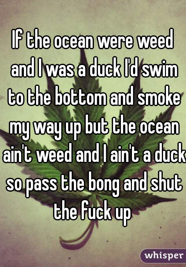 If the ocean were weed and I was a duck I'd swim to the bottom and smoke my way up but the ocean ain't weed and I ain't a duck so pass the bong and shut the fuck up 