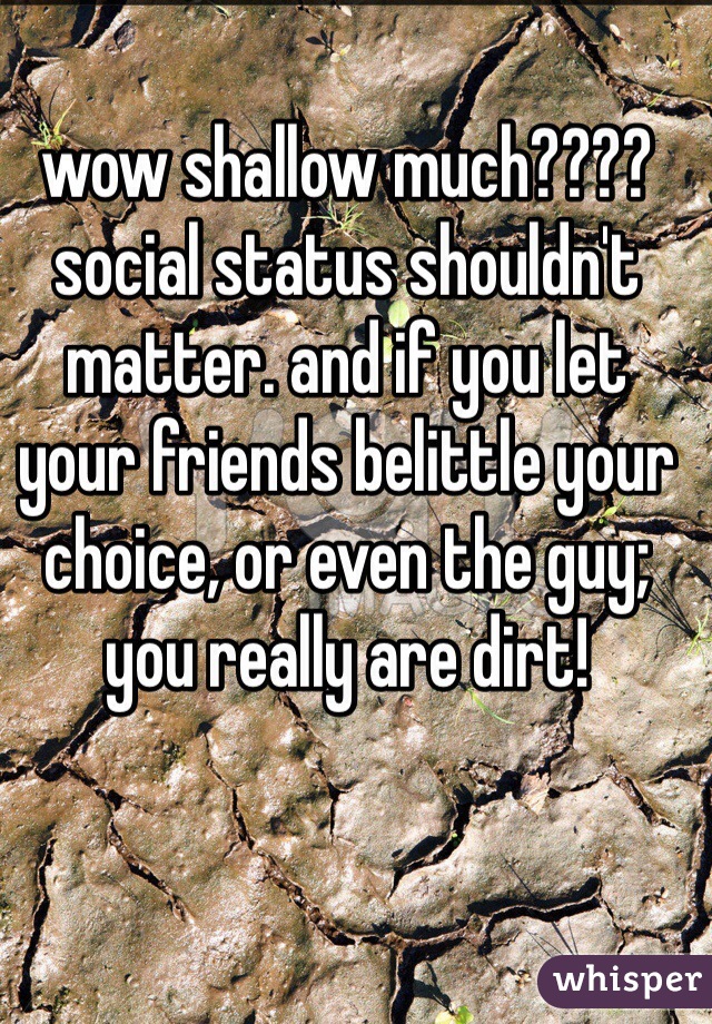wow shallow much???? social status shouldn't matter. and if you let your friends belittle your choice, or even the guy; you really are dirt! 