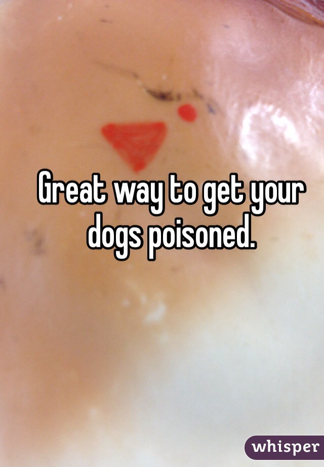 Great way to get your dogs poisoned. 