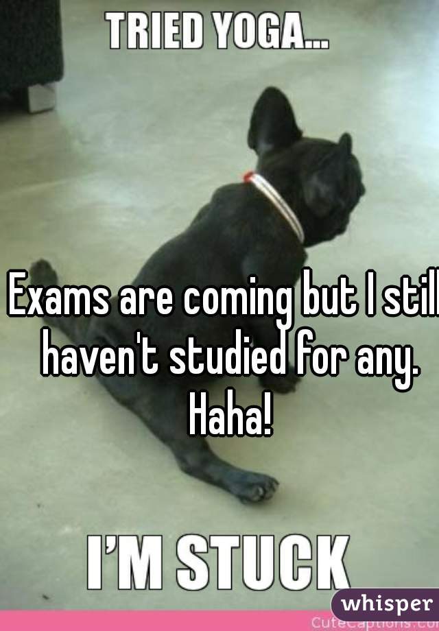 Exams are coming but I still haven't studied for any. Haha!
