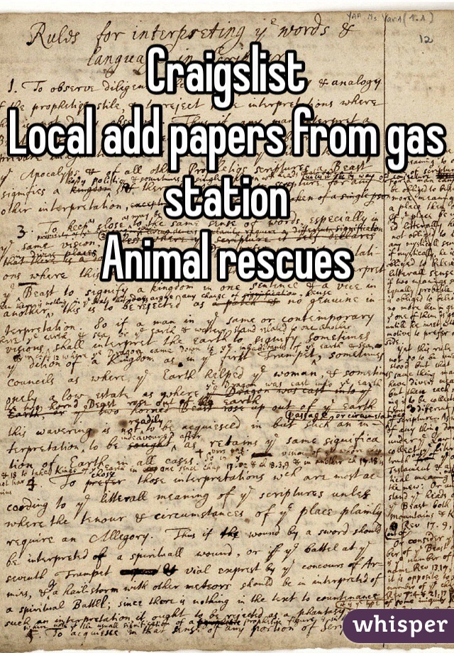 Craigslist
Local add papers from gas station
Animal rescues