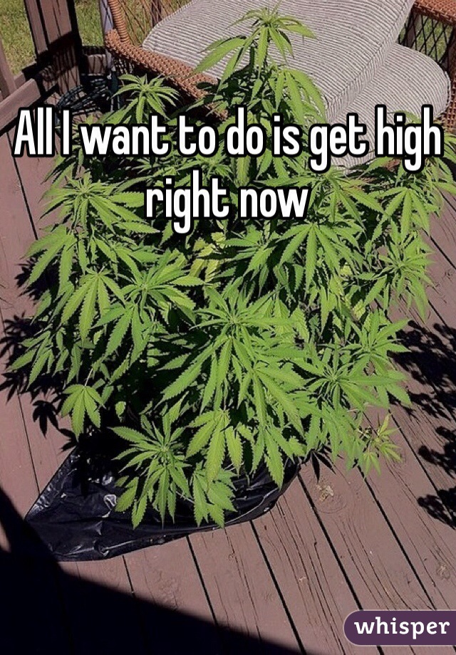 All I want to do is get high right now 