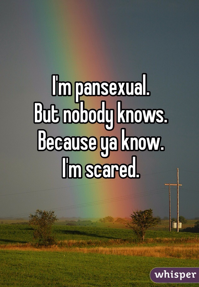 I'm pansexual. 
But nobody knows. 
Because ya know. 
I'm scared. 