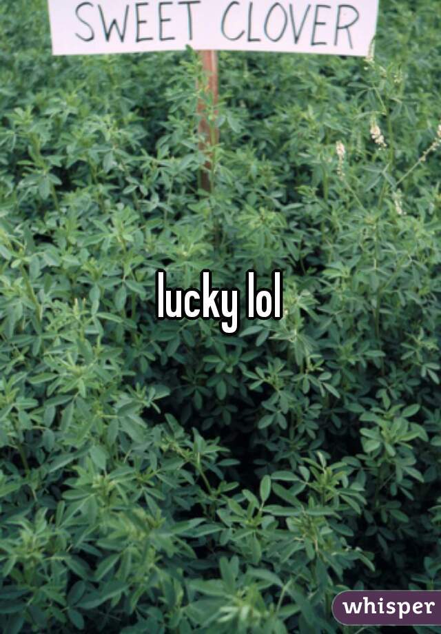 lucky lol