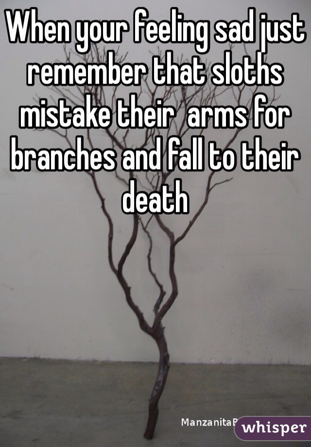 When your feeling sad just remember that sloths mistake their  arms for branches and fall to their death