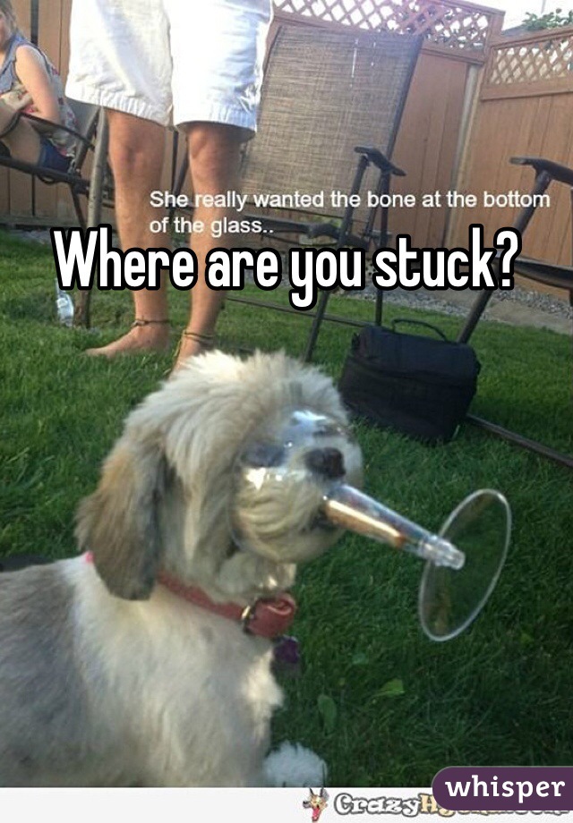 Where are you stuck?