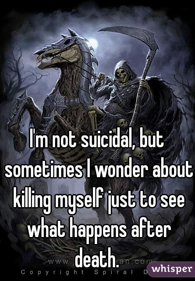I'm not suicidal, but sometimes I wonder about killing myself just to see what happens after death. 