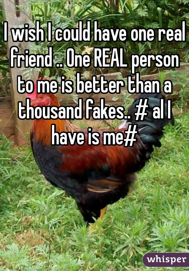 I wish I could have one real friend .. One REAL person to me is better than a thousand fakes.. # al I have is me#