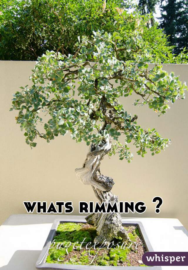 whats rimming ?
