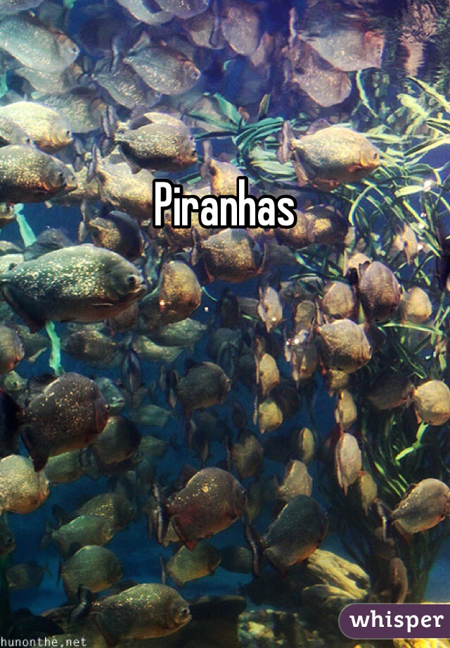 Piranhas 