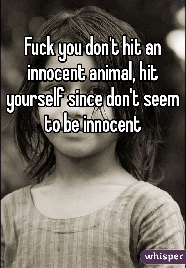 Fuck you don't hit an innocent animal, hit yourself since don't seem to be innocent 