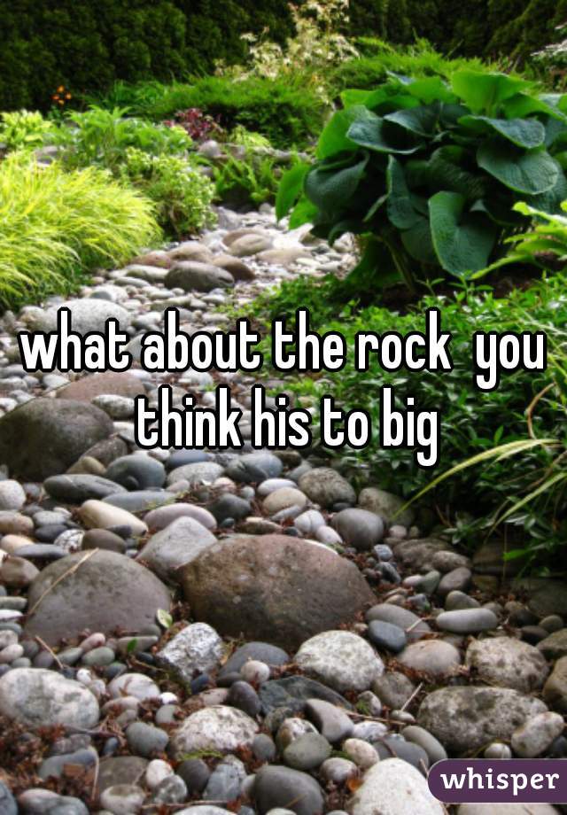 what about the rock  you think his to big