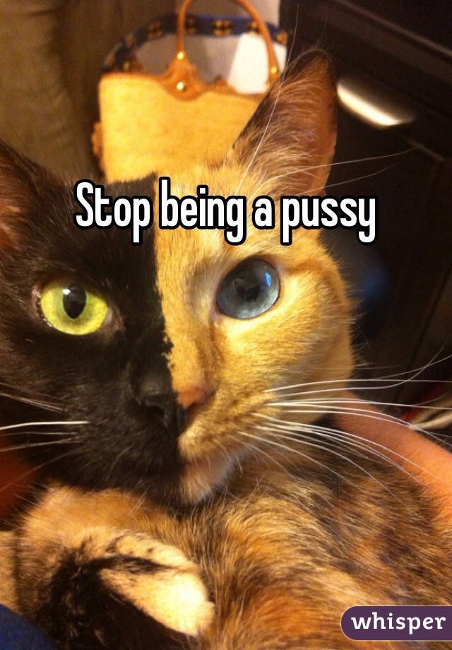 Stop being a pussy