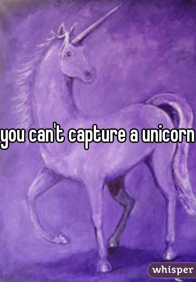 you can't capture a unicorn