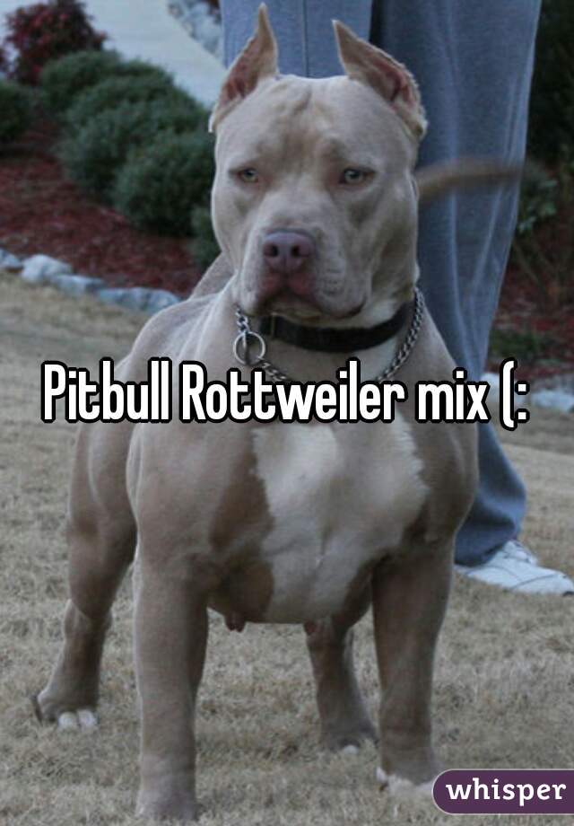 Pitbull Rottweiler mix (:
