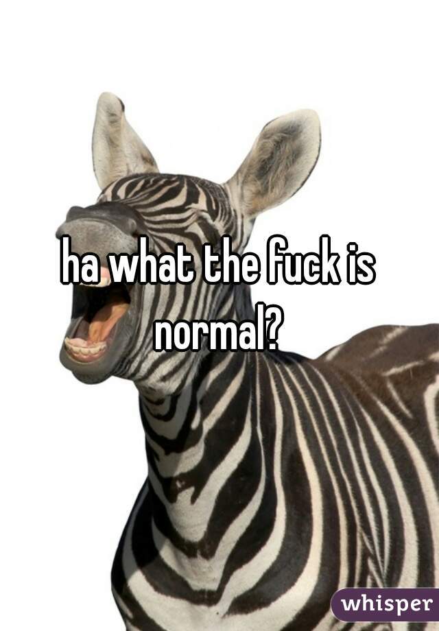 ha what the fuck is normal? 