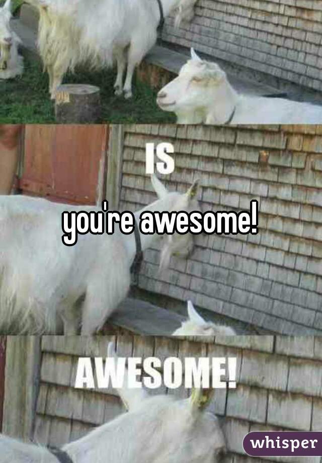 you're awesome!