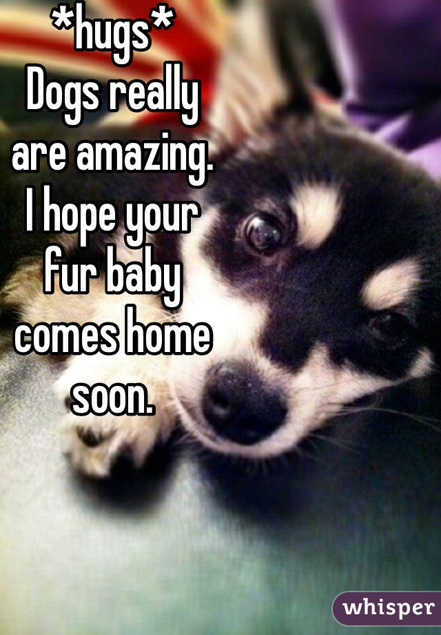 *hugs* 
Dogs really 
are amazing. 
I hope your 
fur baby 
comes home 
soon. 